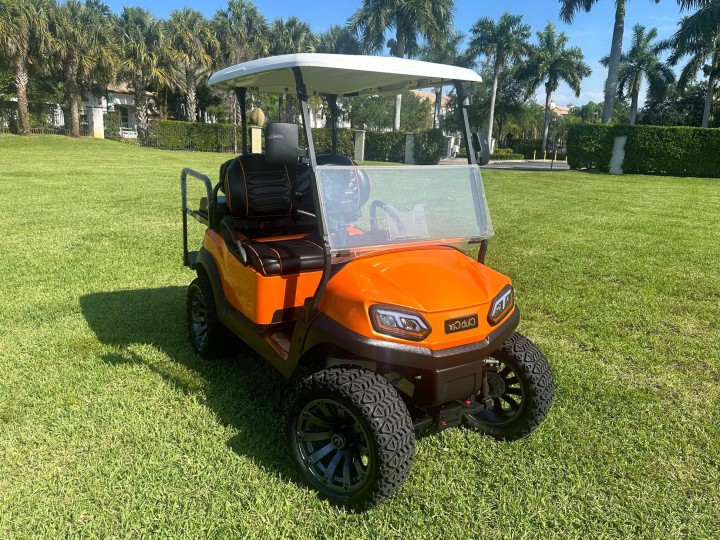Best Golf Cart in FL