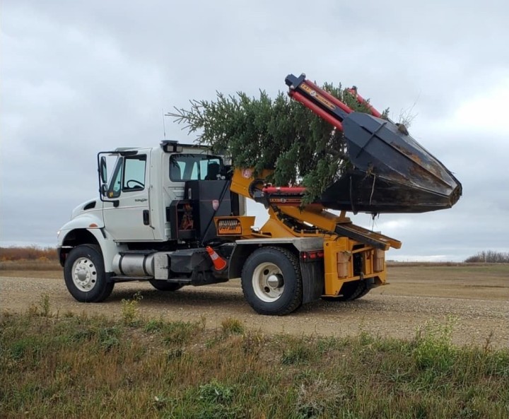 50" Truck Tree Spade