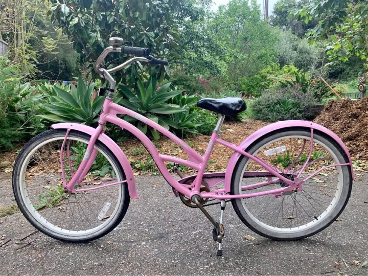 From Wharf to Wine Country – Explore SB on Cruiser Bike