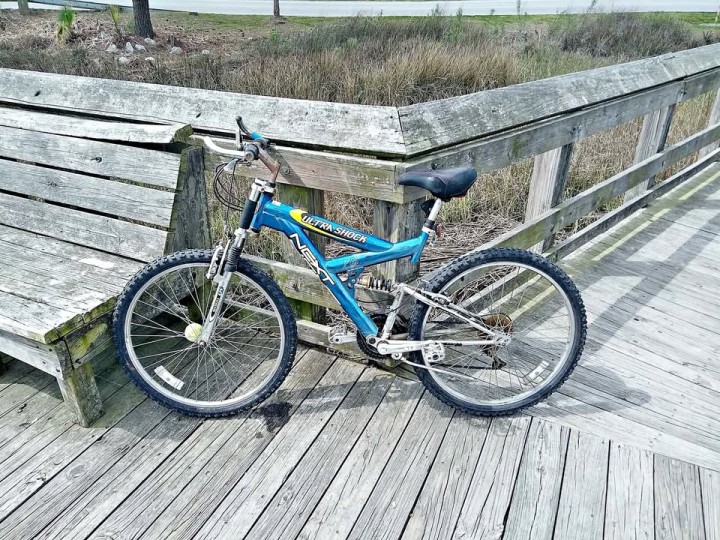 From Rainbow Row to the Battery - Cruise in Southern Style
