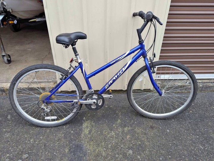 Amsterdam Gravity 21-Speed Hybrid Bike: Trail, Hill or Urban Crawl